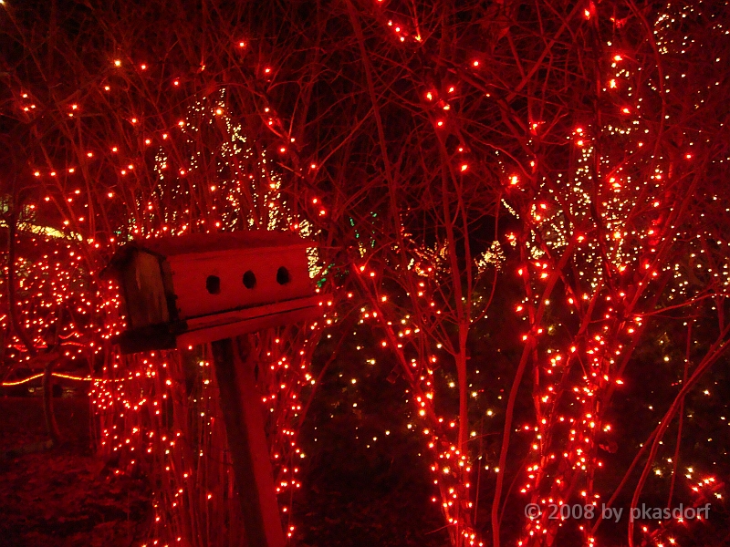 038 Toledo Zoo Light Show [2008 Dec 27].JPG - Scenes from the Toledo Zoo Light Show.